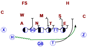 Fly Sweep