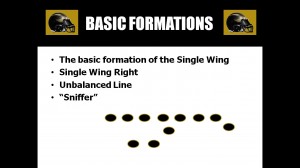 Singlewing1